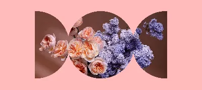 Как красиво сфоткать цветы: 9 советов по съемке букетов на смартфон %