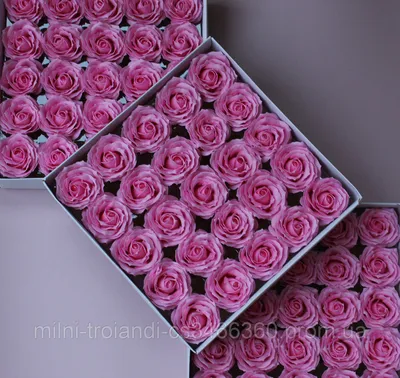Купить Кучерявая мыльная роза розовая для создания роскошных неувядающих  букетов и композиций из мыла, цена 590 грн — Prom.ua (ID#1339390867)