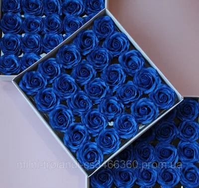 Купить Кучерявая мыльная роза синяя для создания роскошных неувядающих  букетов и композиций из мыла, цена 590 грн — Prom.ua (ID#1550425208)
