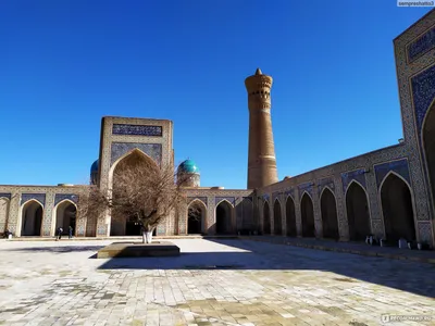 Узбекистан, г.Бухара - «Бухара — самый почитаемый из городов Средней Азии.  Живописный. Аутентичный. Сказочный⇄ Город-оазис, стоящий на Великом  Шелковом пути.» | отзывы