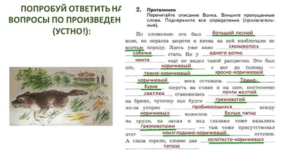 Евразийский волк против бурого медведя. Кто сильнее? | Кусь VS Кусь | Дзен