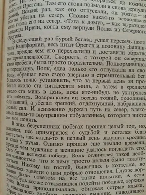 Презентация по чтению на тему Джек Лондон \"Бурый волк\" ( 3 класс)