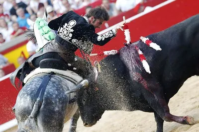 Коррида — бой быков (Corrida de Torros). Испания по-русски - все о жизни в  Испании