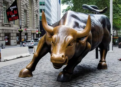 Charging Bull / Атакующий бык