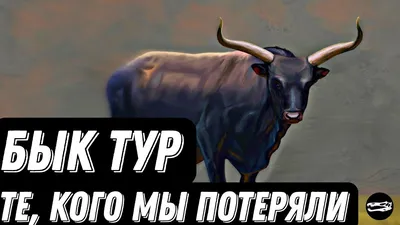 Тур (дикий бык) | Мир вокруг нас