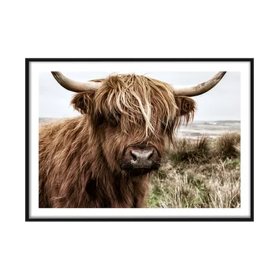 Большой бык из камня изолированный на белом фоне Stock Photo | Adobe Stock