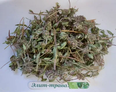 Купить Чабрец трава 50 грамм, цена 50 грн — Prom.ua (ID#540080570)
