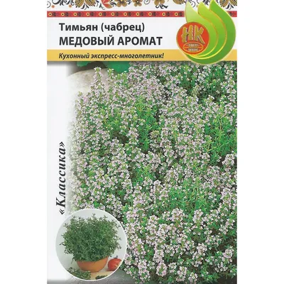 Семена Тимьян (чабрец) Медовый аромат, 0,05 г Русский огород - отзывы  покупателей на СберМегаМаркет