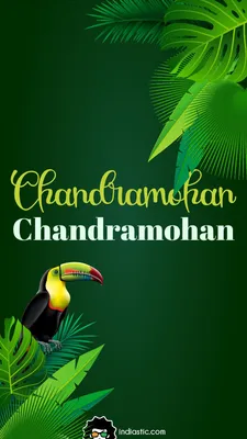 Изображение истории на тему джунглей с именем Чандрамохан