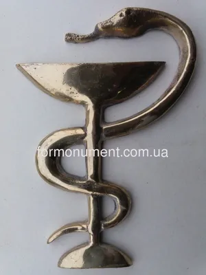 Золотой значок символ медицины чаша со змеей КОЮЗ М14020138 купить в  интернет-магазине Остров Сокровищ