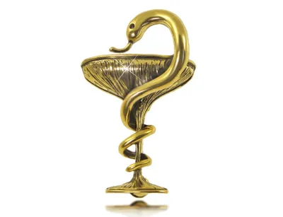Заказать Символ медицины чашу со змеей из латуни 140 миллиметр на памятник  - Formonument.com.ua