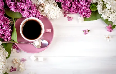 Обои цветы, wood, flowers, сирень, coffee cup, lilac, чашка кофе картинки  на рабочий стол, раздел цветы - скачать