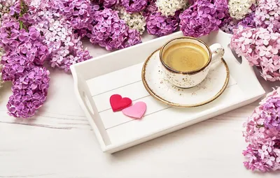 Обои цветы, flowers, сирень, romantic, hearts, coffee cup, lilac, чашка  кофе картинки на рабочий стол, раздел цветы - скачать