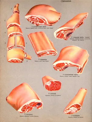 Какая часть свинины самая вкусная