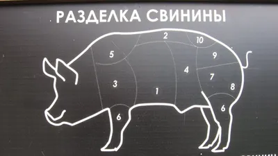 Гид по разделке мяса: от 1965 года до наших дней - Гильдия поваров и  шеф-поваров Беларуси