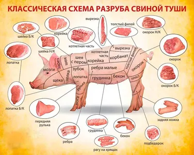 Гид по разделке мяса: от 1965 года до наших дней - Гильдия поваров и  шеф-поваров Беларуси