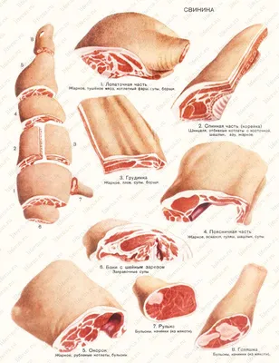 Задняя часть свинины на заказ с доставкой по Москве