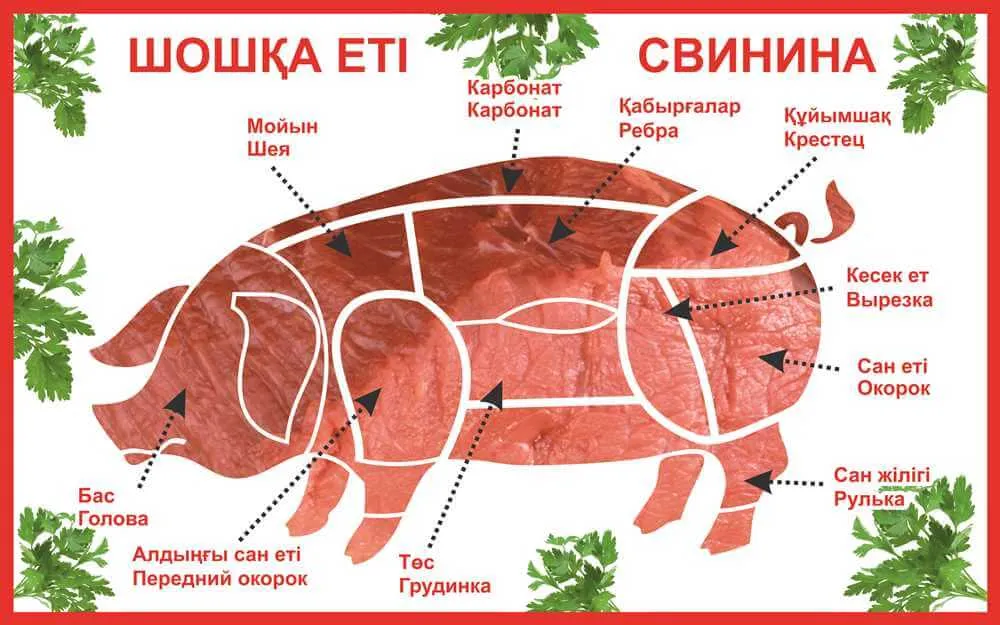 Части вырезки свинины. Части туши свиньи кострец. Части свиньи.