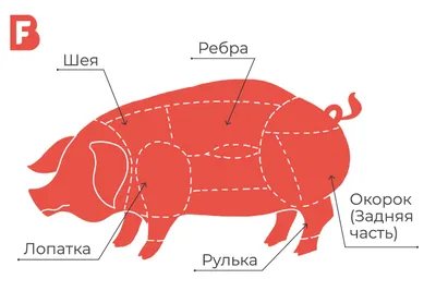 Как выбрать мясо: свинина. | BARON — фирменный интернет-магазин