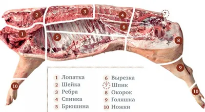 Разруб свиньи и что из чего готовят