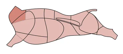 Свинина | это... Что такое Свинина?
