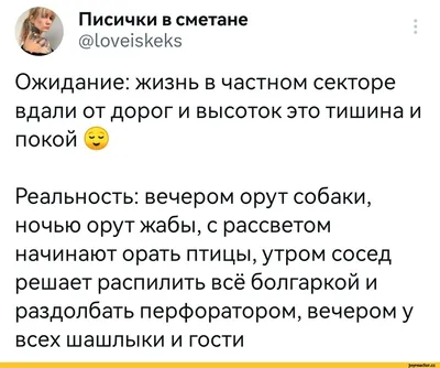 Писички в сметане Щ @1оуе1зкек5 Ожидание: жизнь в частном секторе вдали от  дорог и высоток это ти / twitter :: дача :: ожидание и реальность ::  интернет / смешные картинки и другие