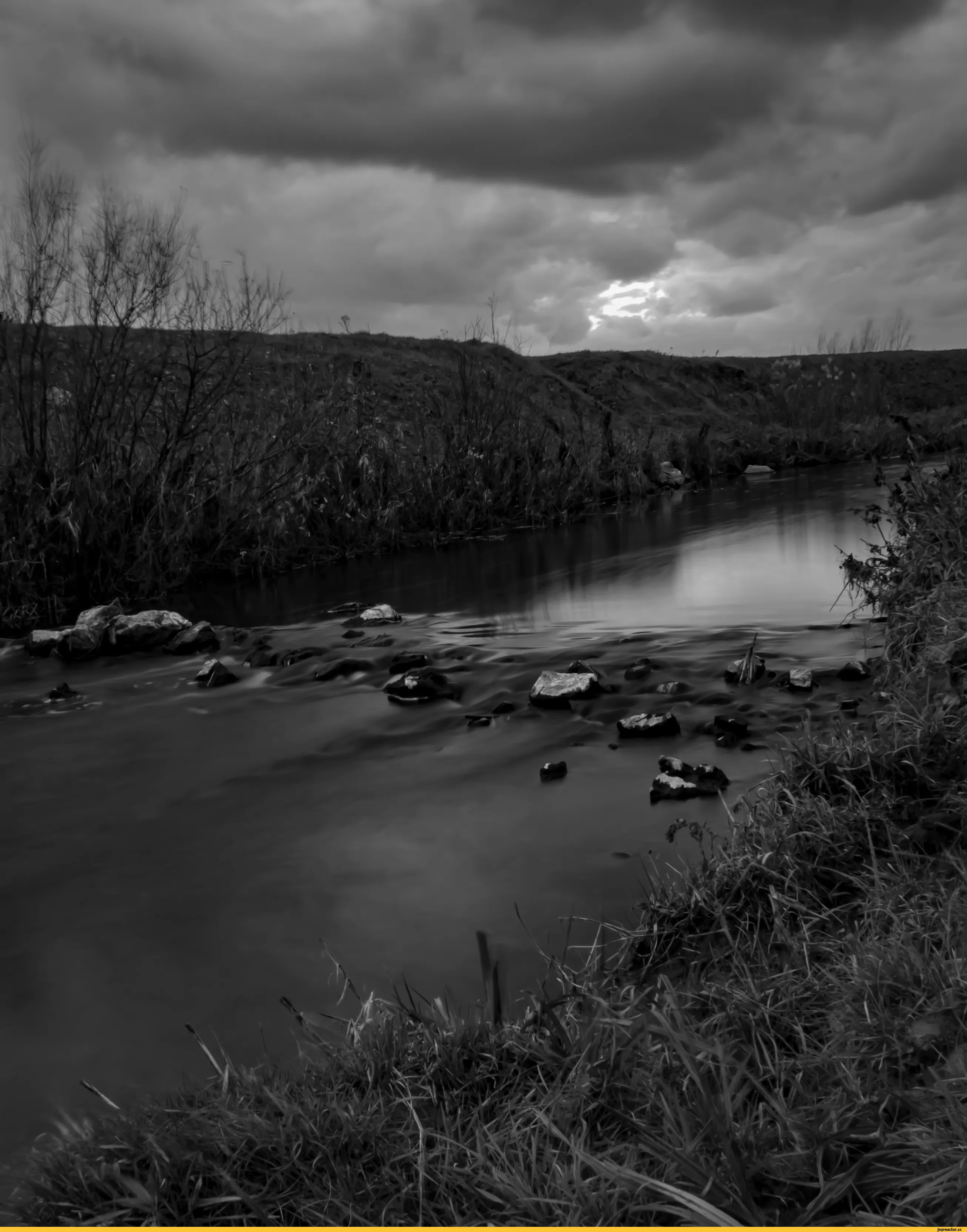 Темная река слушать. Темная река. Река чб. Природа чб. Река черно белая.