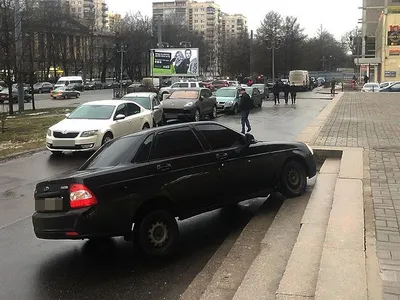 Чеченский борз» — создано в Шедевруме