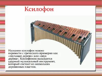 Ольбар Де Зор Чаровница Челеста → Померанский шпиц