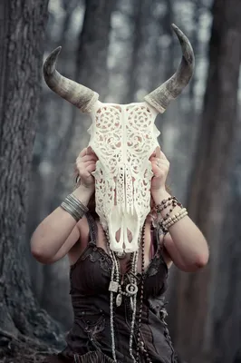 Резной череп, череп коровы , carved skull, skull, carved | Череп, Коровы,  Выставки