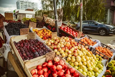 Купить Консервы для кошек c доставкой в Набережные Челны. Страница 12