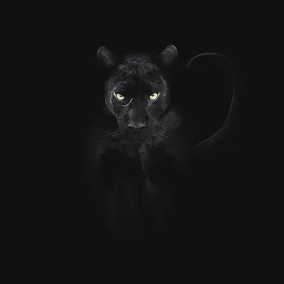 Картинки черная пантера марвел - 81 фото