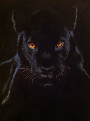 Купить Черная Пантера с малышом от Lladro в Арт-Салон: цена, фото, отзывы  Компания Art-Salon