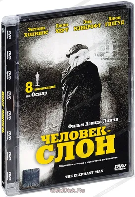 человек слон элегантный мистер животное голова стильный человек Иллюстрация  вектора - иллюстрации насчитывающей развилки, характер: 225118495