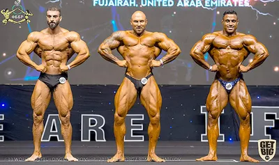 Протоколы: IFBB Чемпионат Европы по бодибилдингу - 2015 (результаты)