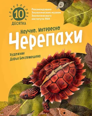 В Китае нашли окаменелости древнейшей черепахи. У нее был беззубый клюв и  не было панциря