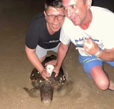 2 Caretta caretta tornano sulla spiaggia di Lido dei Pini, Muzio e Algida  salvate dalla rete TartaLazio - Radio Studio 93 - Solo Belle Canzoni