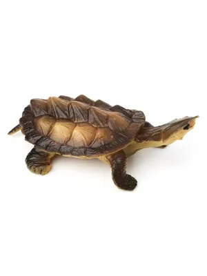 STL file Articulated Matamata Turtle - Support Free 🐢・3D print model to  download・Cults