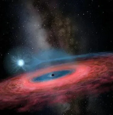 Открыта невозможная черная дыра: Космос: Наука и техника: Lenta.ru