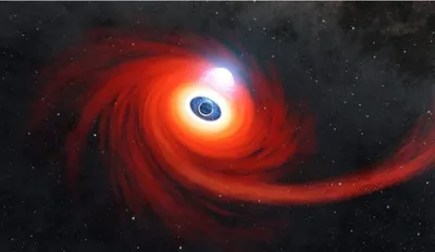 Ученые показали, как черная дыра пожирает звезду. ФОТО - МЕТА