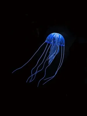 Картина на холсте \"морские обитатели медуза черная медузы самые\" 30x40  вертикально интерьерная картина в комнату на стену в спальню - купить по  низкой цене в интернет-магазине OZON (624072921)