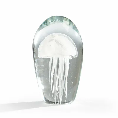 Брошь ручной работы \"Черная медуза\" (ID#1848701637), цена: 650 ₴, купить на  Prom.ua