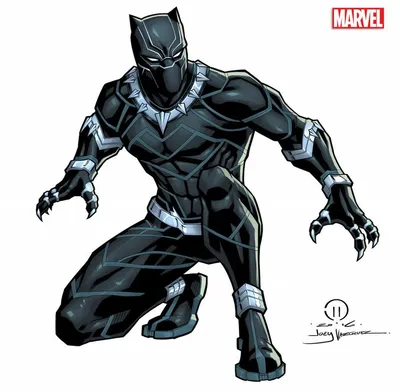 Black Panther/Gallery | Black panther marvel, Black panther, Black panther  images