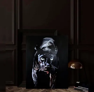 черная пантера стоковое фото. изображение насчитывающей пантера - 57134368
