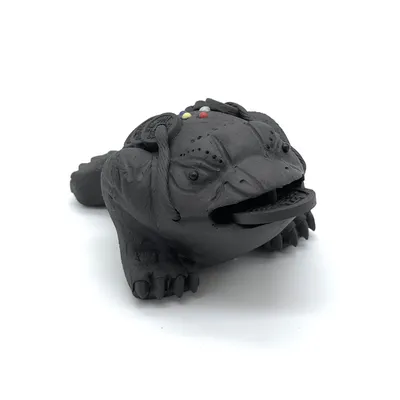 Порода лягушки чёрная дождевая …» — создано в Шедевруме