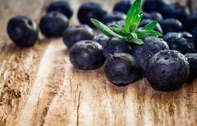 Обои ягоды, черника, fresh, wood, blueberry, голубика, berries картинки на  рабочий стол, раздел еда - скачать