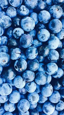 Обои Черника, синий, ягоды, фрукты, суперфуд на телефон Android, 1080x1920  картинки и фото бесплатно