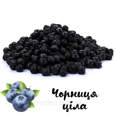 Купить Сублимированная черника целая iBerries 50г, цена 135 грн — Prom.ua  (ID#1404795631)