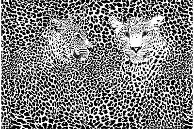 Обои Антимаркер Milan Черно-белые леопарды, 400x270 см M 404 - выгодная  цена, отзывы, характеристики, фото - купить в Москве и РФ