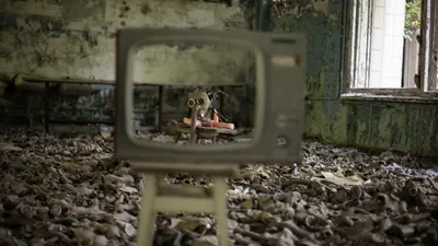 Как Чернобыль стал неожиданным пристанищем для дикой природы – ЛИВЕНЬ